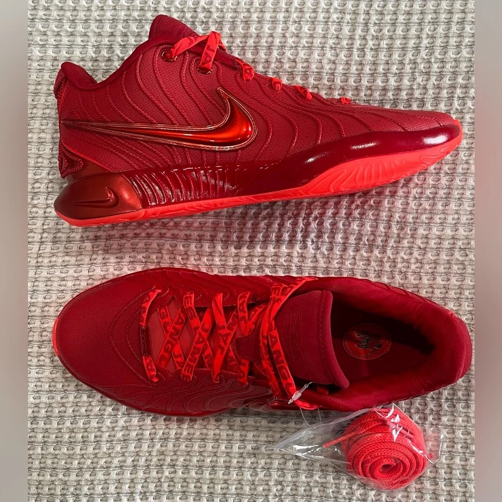 NEW Nike LeBron 21 